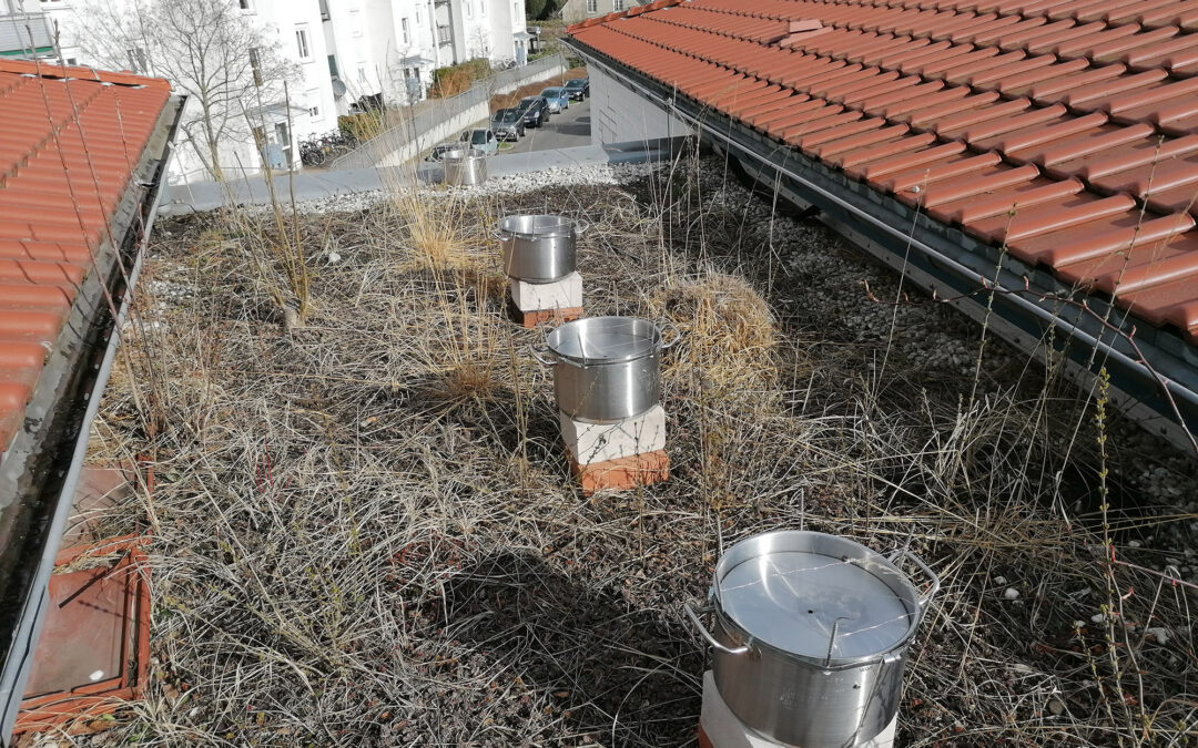 Gut­ach­ten Gemein­wohl­ver­träg­lich­keit pri­va­ter Ver­si­cke­rungs­an­la­gen, Düsseldorf